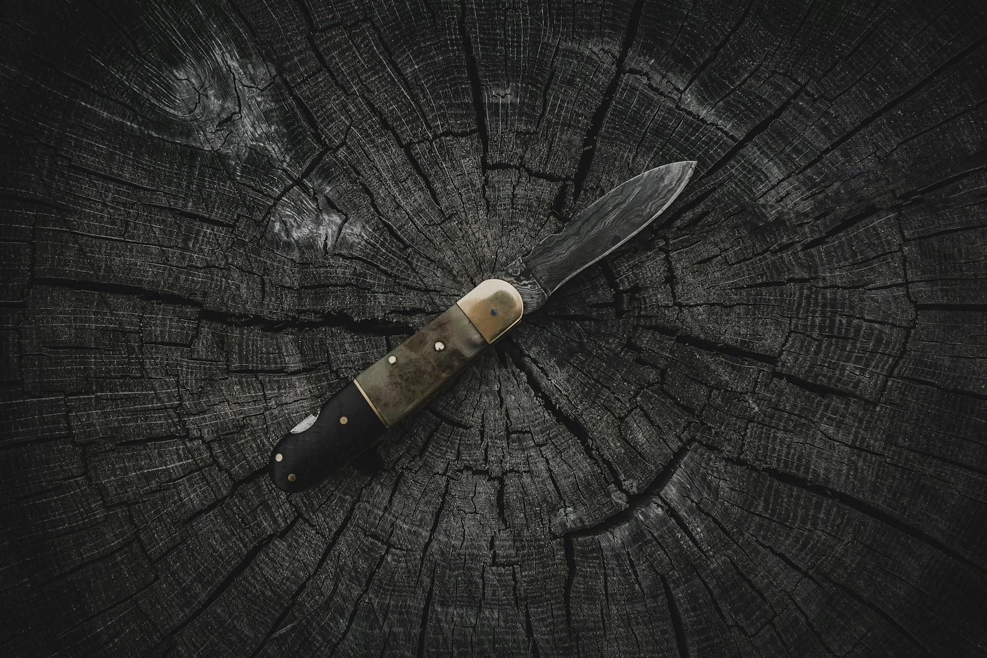 Authorities found the murder knife with a bloody sweatshirt in Dickey's truck (Image via Pexels)